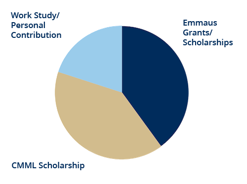 A pie chart showing financial aid available to students coming from missionary background 