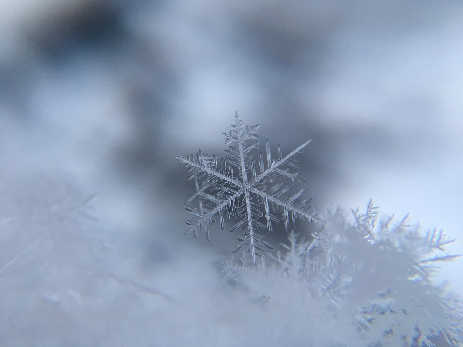 10417878_1920x1440_2500.jpg